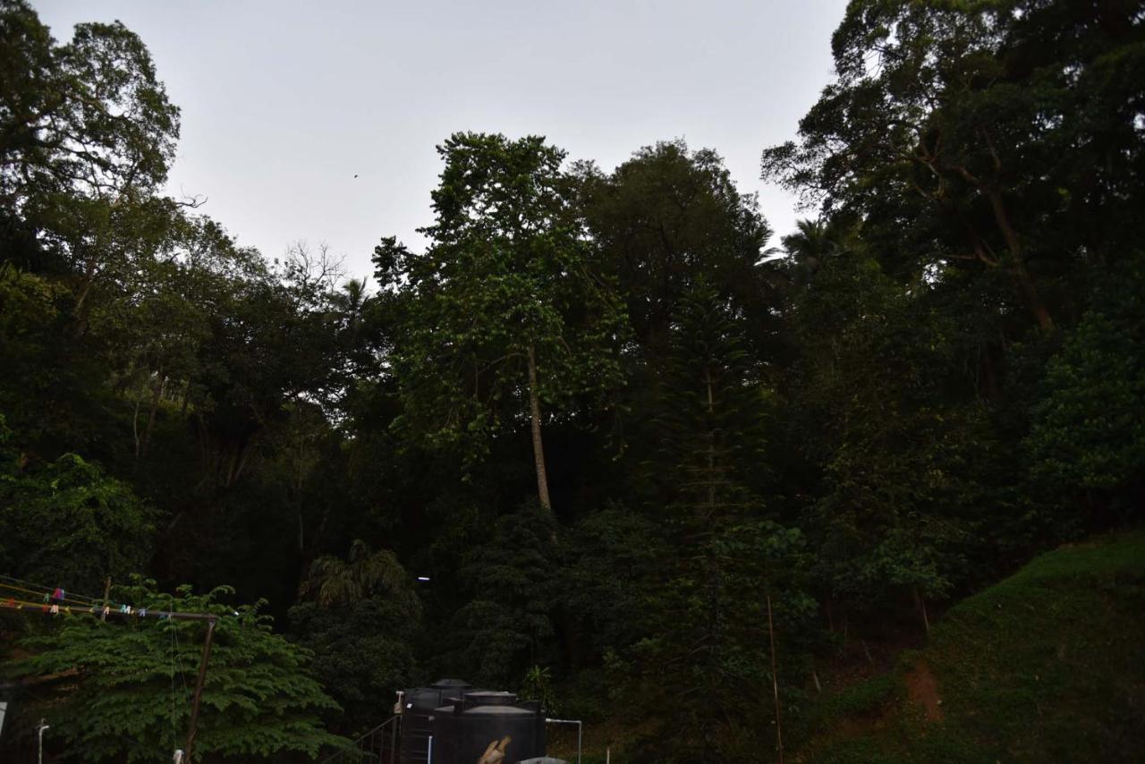 Lodge In 611 Kandy Eksteriør billede